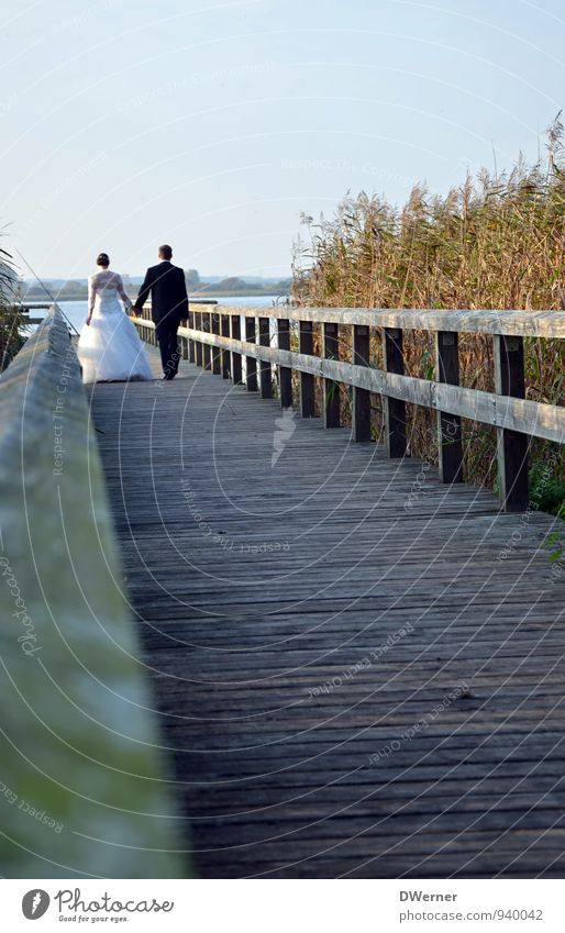 MAL Lifestyle elegant Stil schön Sightseeing Meer Hochzeit Mensch maskulin feminin Junge Frau Jugendliche Junger Mann Paar 2 18-30 Jahre Erwachsene Wasser