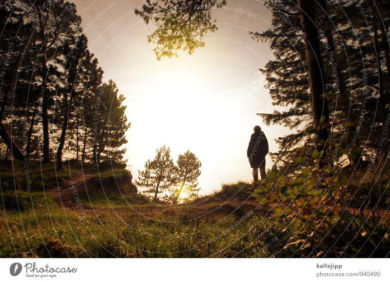 schlei-blick Mensch Frau Erwachsene Weiblicher Senior 1 Umwelt Natur Landschaft Pflanze Tier Wasser Klima Nebel Zukunft ruhig Wald Waldlichtung Leben Tanne