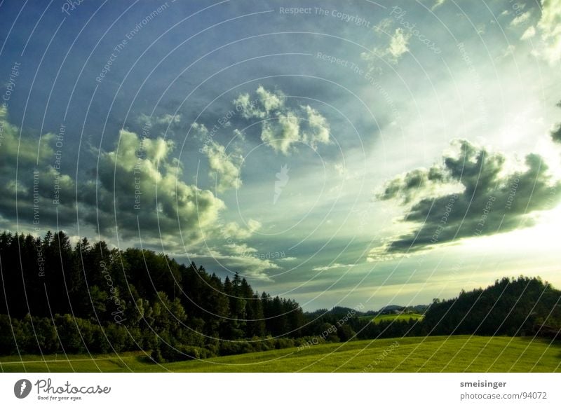 Bob Ross Wald Wiese grün Baum Gras Feld Wolken Sommer Himmel Natur blau Amerika Sonne schöner Tag Freiheit Ferne natürlich