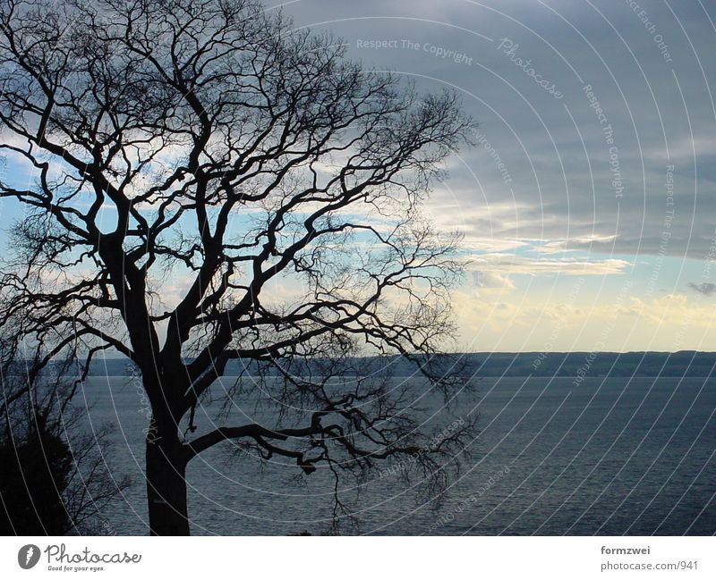 Baum und Wolken See Sonne Himmel