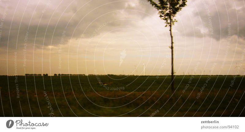 Landstraße Bundesstraße Autobahn Ferien & Urlaub & Reisen fahren unterwegs Horizont Baum Wolken Kumulus Unwetter Tiefdruckgebiet Globalisierung Windkraftanlage