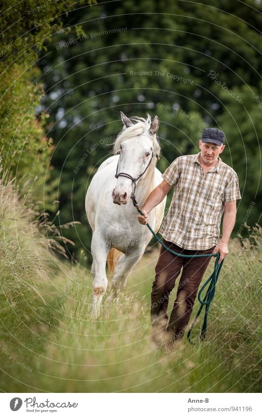 ein Mann im Karohemd läuft mit seinem gut erzogenen weißen Pferd auf einem Wiesenweg mit viel blühendem Gras ringsherum. Im Hintergrund saftig grüne Bäume