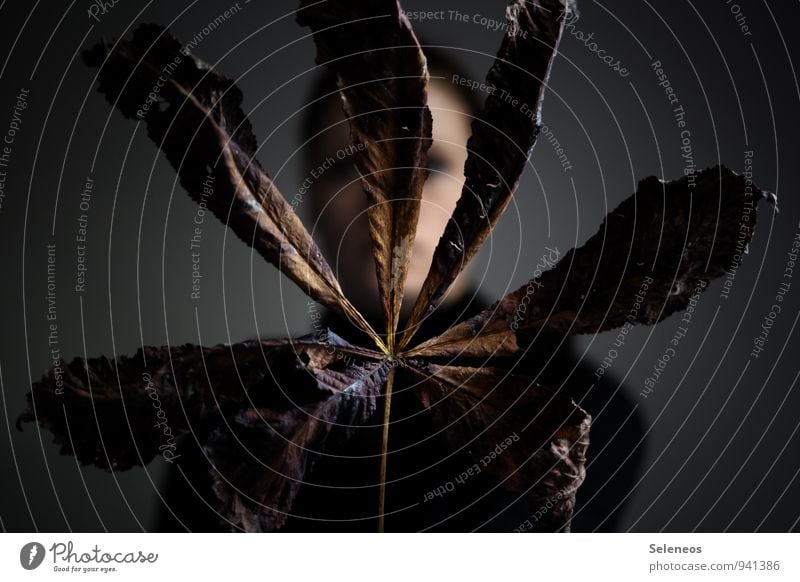 Herbst Mensch feminin Kopf 1 Umwelt Natur Pflanze Blatt verblüht vertrocknet Farbfoto Innenaufnahme Licht Schatten Kontrast Schwache Tiefenschärfe Oberkörper