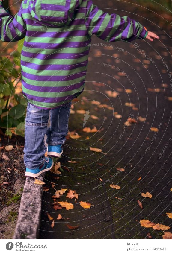 Balance Freizeit & Hobby Spielen Kinderspiel Mensch Kleinkind 1 1-3 Jahre 3-8 Jahre Kindheit Herbst Park Fußgänger Wege & Pfade Jacke Fröhlichkeit Lebensfreude