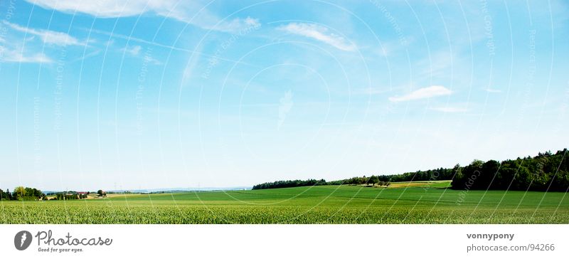 Biofrühstück I grün Wiese Baum Wald Wolken Feld Bauernhof Panorama (Aussicht) Horizont Elektrizität schön Pampa Badeort Waldrand Ferne Sommer Physik blau Himmel