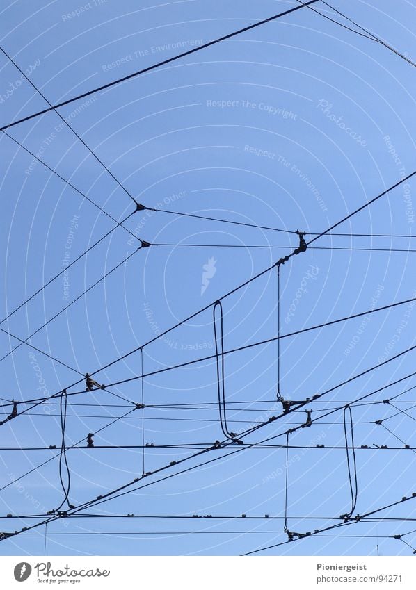 Das Netz 3.0 durcheinander gefangen Spinne netzartig Draht hilflos Oberleitung Detailaufnahme Seil stassenbahn Eisenbahn Irritation