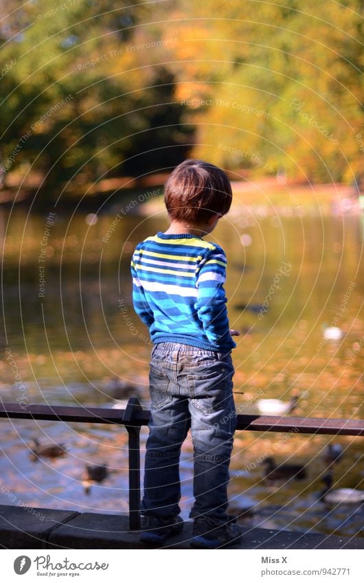 Kleiner Checker Spielen Ausflug Abenteuer Ferne Freiheit Mensch maskulin Kind Kleinkind Kindheit Leben Rücken 1 1-3 Jahre 3-8 Jahre Herbst Park Küste Teich