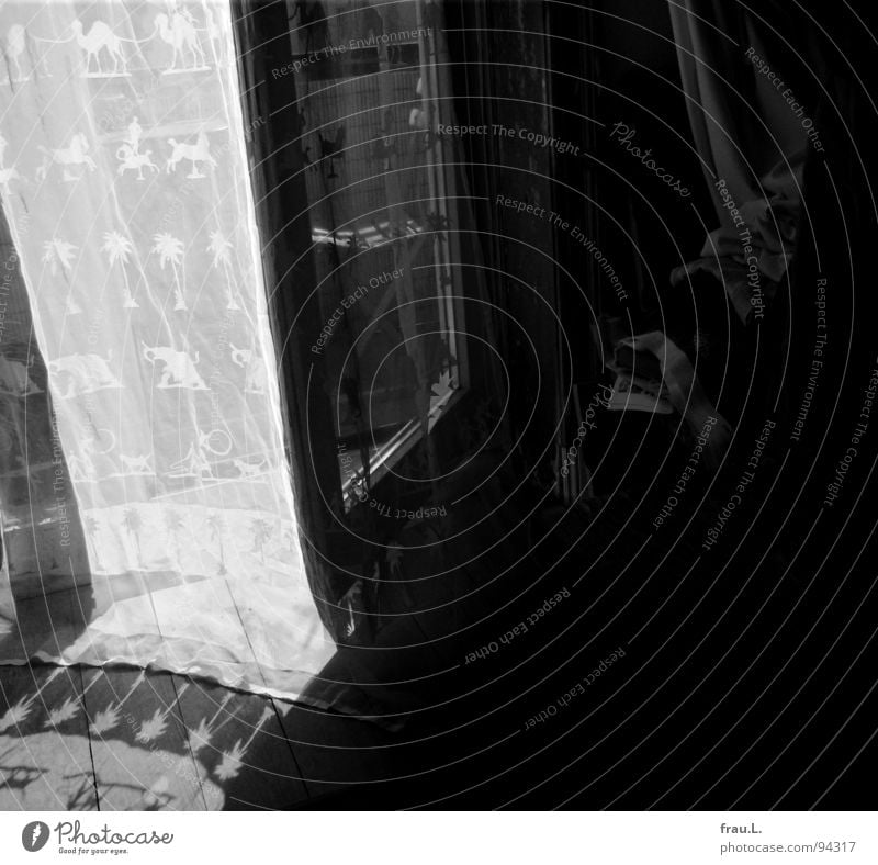 Vorhang Raum Muster Stoff zart Balkontür Sonnenlicht Bodenbelag Holzfußboden Sommer Mittag Sonntag Wohnzimmer Entertainment tranzparent Schatten Balkonstuhl