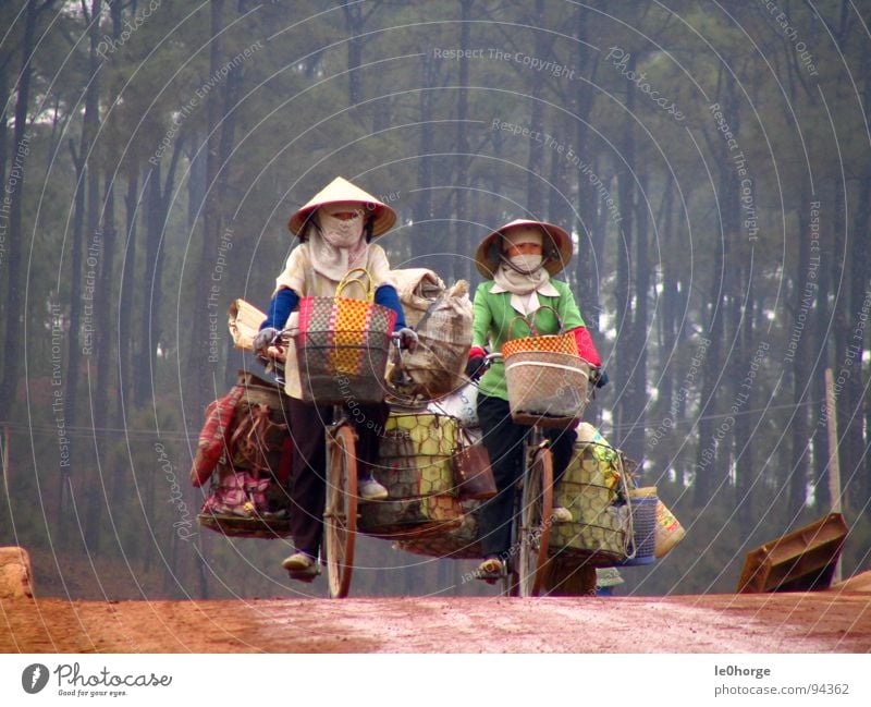 heavy transportation Asien Vietnam Frau Fahrrad fahren Güterverkehr & Logistik schwer Arbeit & Erwerbstätigkeit Wald Dienstleistungsgewerbe 2 Frauen Straße