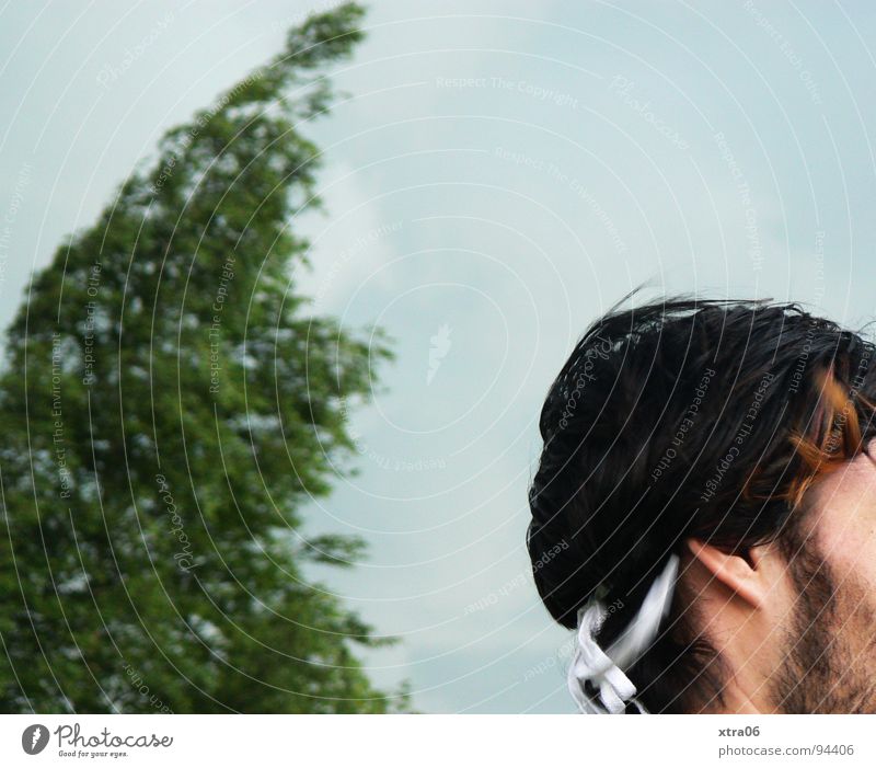 vom winde verweht Baum grün Unwetter Mann schwarz weiß Bart Schuhbänder Ohrläppchen Wind Anziehungskraft Mensch Himmel Schönes Wetter Haare & Frisuren Schnur