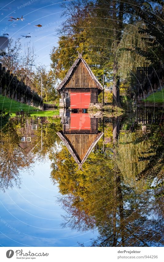 Unsere garage steht unter Wasser Freizeit & Hobby Ferien & Urlaub & Reisen Tourismus Ausflug Sightseeing Kreuzfahrt Umwelt Landschaft Pflanze Herbst Flussufer