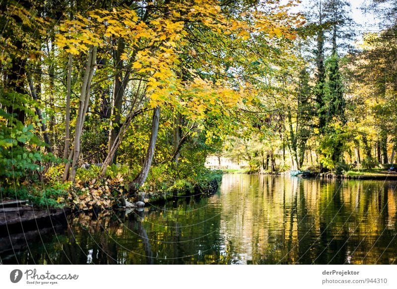 Still und ruhig liegt die Spree Freizeit & Hobby Ferien & Urlaub & Reisen Tourismus Ausflug Sightseeing Kreuzfahrt Safari Expedition Umwelt Natur Landschaft