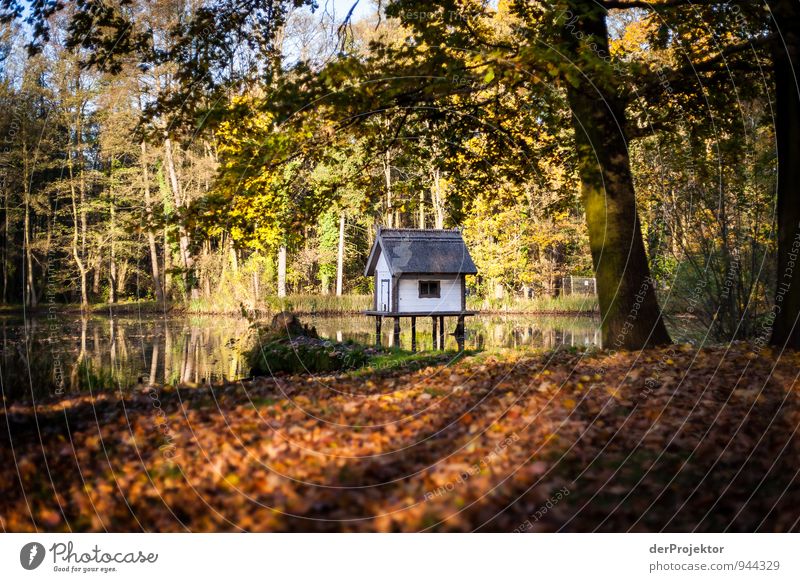 Schmuckes Haus im Grünen Freizeit & Hobby Ferien & Urlaub & Reisen Tourismus Ausflug Sightseeing wandern Umwelt Natur Landschaft Pflanze Wasser Herbst