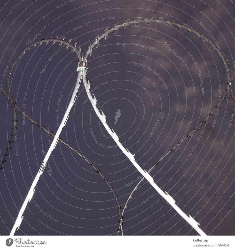 herzschmerz G8 Gipfel Globalisierung Globalisierungsgegner Stacheldraht Heiligendamm Barriere Zaun Liebe Partnerschaft Liebeskummer Sicherheit Sperrzone Grenze