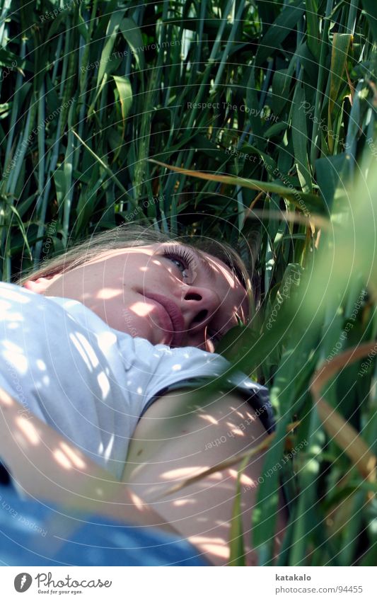 Traumstunde Feld träumen verträumt Frau ruhig Sommer Einsamkeit Stimmung Idylle Trauer Jahreszeiten Blick grün weiß Gesicht liegen