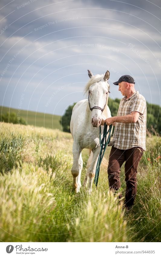 Pferdeflüstern Erholung Freizeit & Hobby Reiten wandern Reitsport Seil maskulin Mann Erwachsene Körper 1 Mensch 45-60 Jahre Natur Landschaft Himmel Wiese Feld