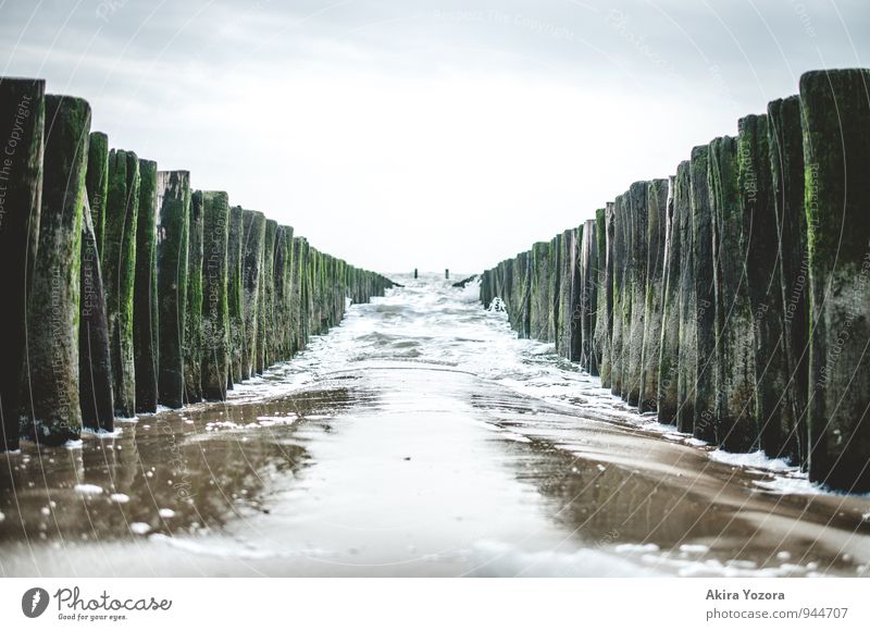 Wellenbrecher Sand Wasser Himmel Wolken Küste Strand Nordsee Holz berühren Bewegung kalt nass blau braun grün weiß Ausdauer standhaft Natur Wellengang