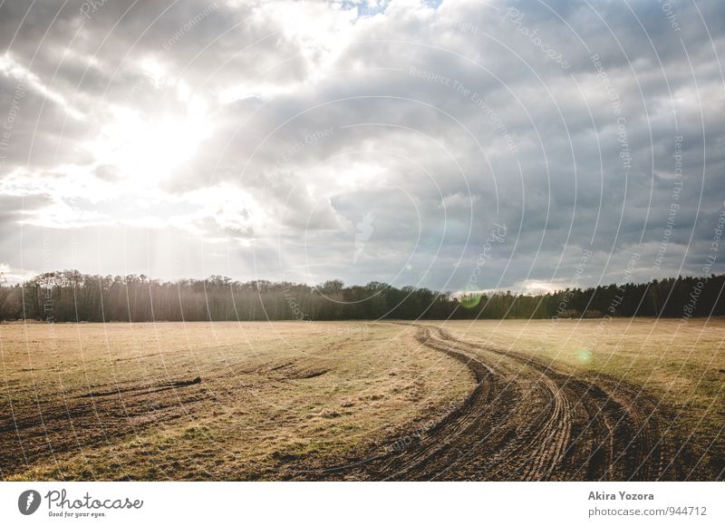 Auf dem richtigen Weg Natur Landschaft Himmel Wolken Sonnenlicht Wetter Baum Feld berühren leuchten hell natürlich blau braun grau grün schwarz weiß Optimismus