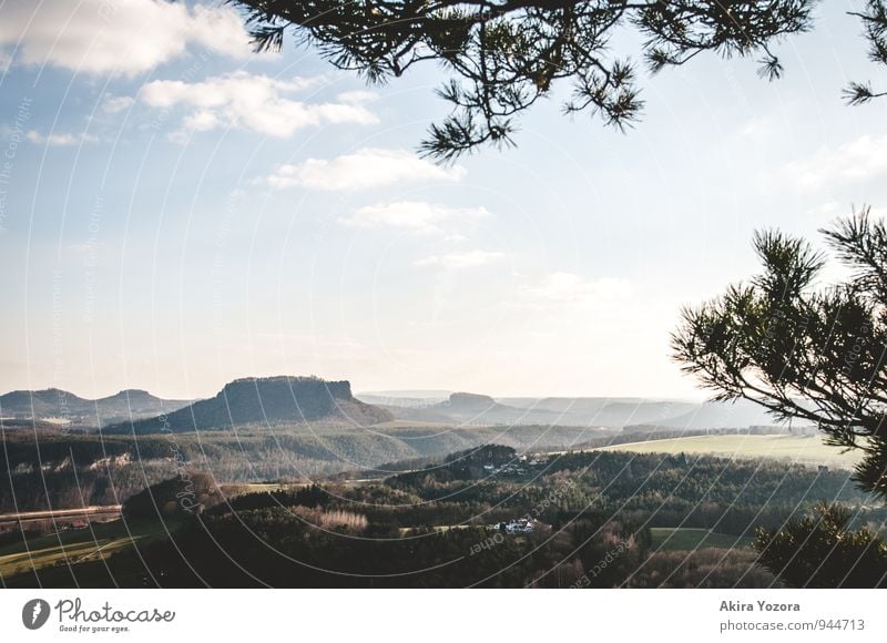 Hinter den Bergen Landschaft Aussicht Ferien & Urlaub & Reisen Reisefotografie Tourismus Sächsische Schweiz Elbsandsteingebirge Himmel Wolken Kiefer Baum blau