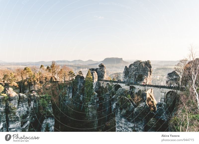 Bastei-Brücke II Kultur Natur Himmel Wolken Frühling Schönes Wetter Baum Felsen Berge u. Gebirge Sächsische Schweiz Elbsandsteingebirge beobachten entdecken