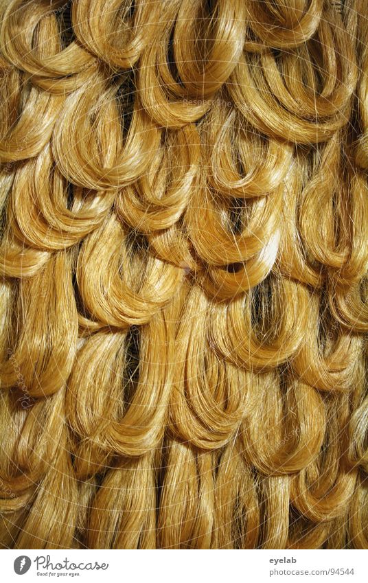 Achtung: Blondinenwitz ! blond Dame Pferd schwarz braun rot rothaarig Haarfarbe Perücke Matten langhaarig Hippie Haarsträhne Haarpflege Locken