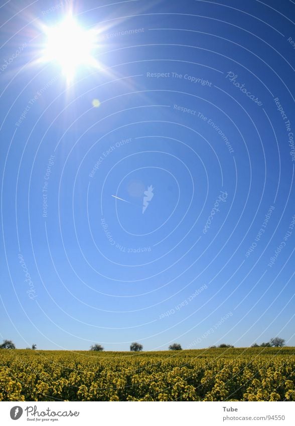 Sonne, Flugobjekt and Countryside Raps gelb grün Pflanze Feld Sachsen Scheune grau braun Ocker Haus Backstein Baum Bauernhof Dach Scheunentor Ozonschicht