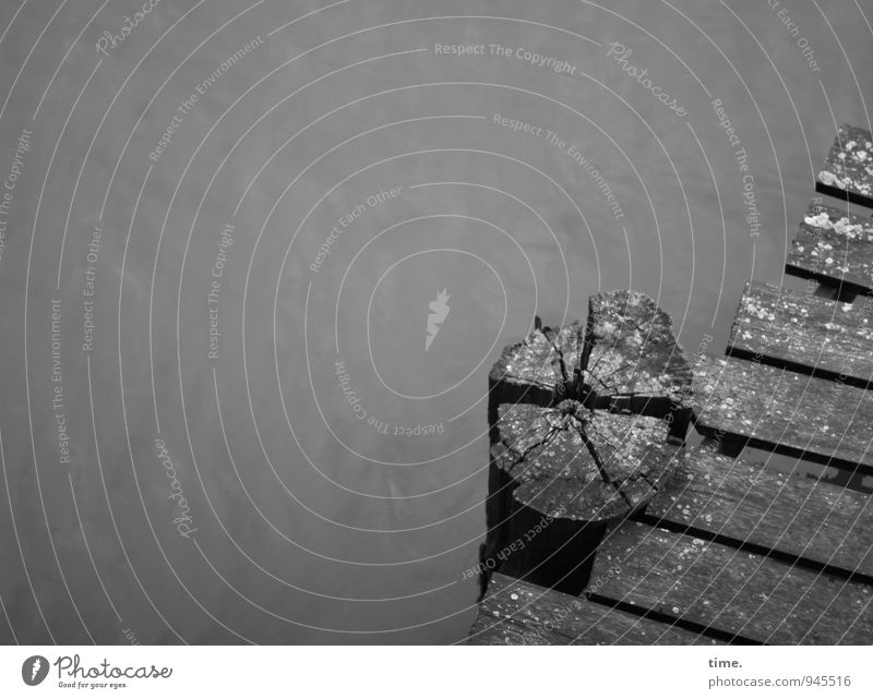 Bretter für die Welt |  Gnadenfrist Wasser Kanal Schiffsplanken Steg Poller Verkehrswege Schifffahrt Binnenschifffahrt Anlegestelle Holzbrett alt dunkel kaputt