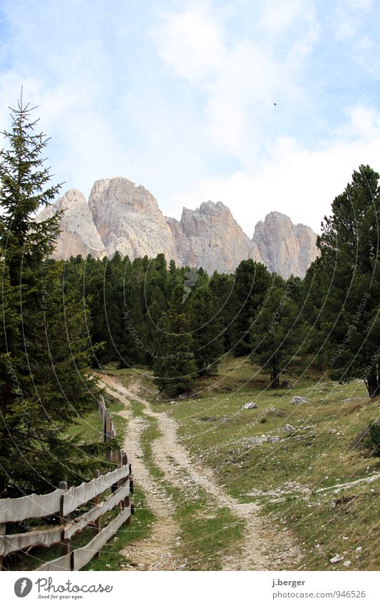 Berge in Sicht Ausflug Abenteuer Freiheit Sommer Berge u. Gebirge wandern Natur Landschaft Pflanze Himmel Schönes Wetter Baum Wiese Wald Hügel Felsen Alpen