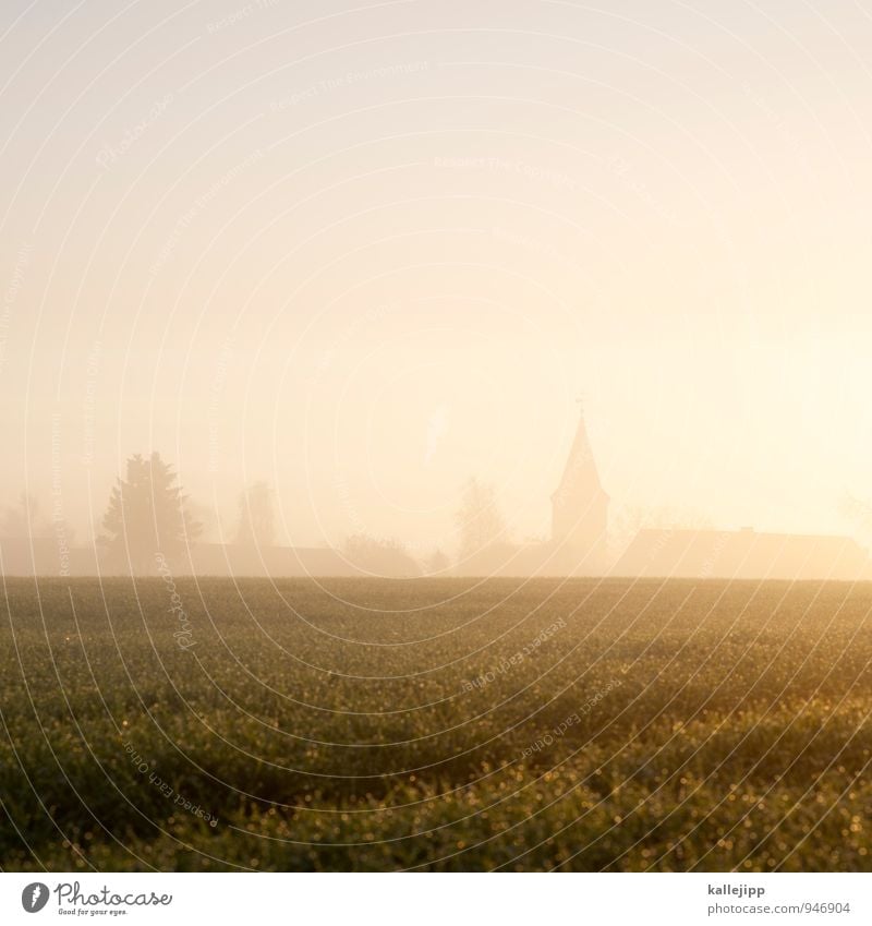 die kirche im dorf lassen Umwelt Natur Landschaft Pflanze Tier Wassertropfen Herbst Nebel Grünpflanze Feld Dorf Morgendämmerung Morgennebel Kommune Kirchturm