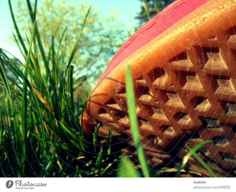 ROT IM GRUENEN_02 Schuhe Schuhsohle Turnschuh Silhouette Gras grün Wiese Park rot Sommer Erholung Pause faulenzen Halbschlaf Zeitvertreib