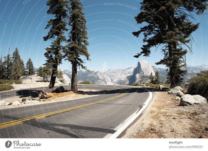 half dome Umwelt Natur Landschaft Pflanze Tier Erde Himmel Wolkenloser Himmel Sonne Sommer Schönes Wetter Baum Park Wald Berge u. Gebirge Gipfel Verkehrswege