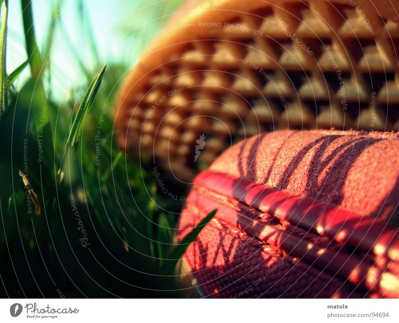 ROT IM GRUENEN_03 Schuhe Schuhsohle Turnschuh Silhouette Gras grün Wiese Park rot Sommer Erholung Pause faulenzen Halbschlaf Zeitvertreib