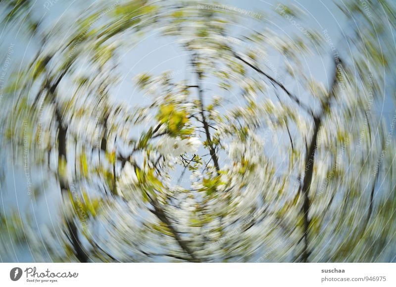 suschaas wisch-trash-fotografie Umwelt Natur Urelemente Luft Himmel Frühling Klima Sturm Pflanze Baum Blüte drehen Duft Fröhlichkeit frisch blau grün Dynamik