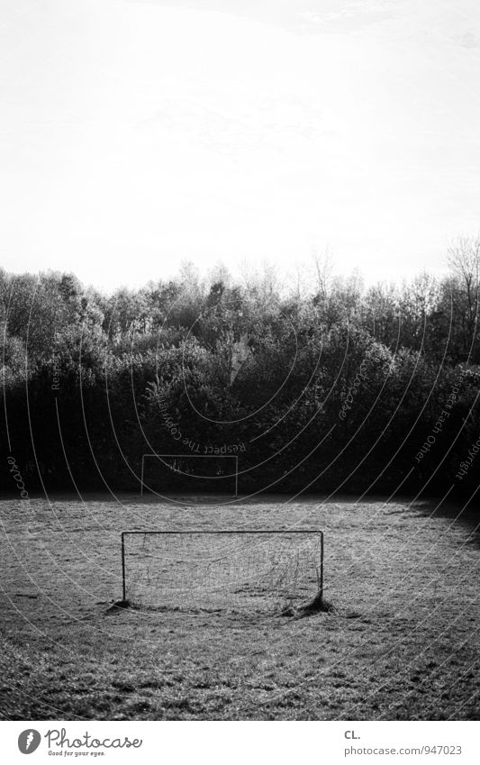 bolzplatz Freizeit & Hobby Sport Fußball Tor Sportstätten Fußballplatz Umwelt Natur Himmel Baum Sträucher Park Wiese Menschenleer Spielen Schwarzweißfoto