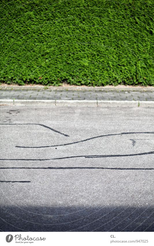 spuren Umwelt Natur Schönes Wetter Sträucher Hecke Garten Verkehr Verkehrswege Straße Wege & Pfade Bürgersteig Spuren grau grün Begrenzung Farbfoto