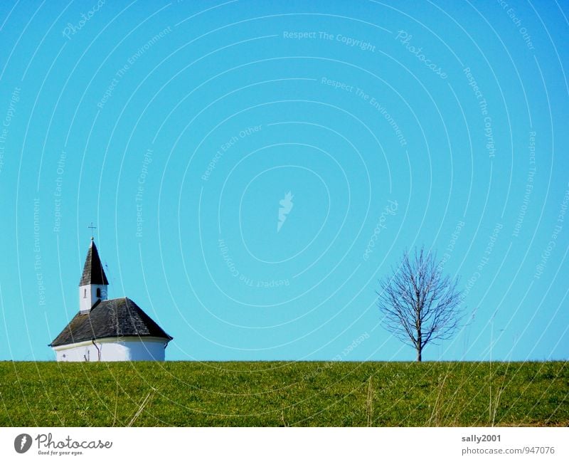 Richtung Himmel Wolkenloser Himmel Sonnenlicht Baum Gras Wiese Kirche Kapelle einfach grün Ordnungsliebe Einsamkeit Perspektive Religion & Glaube stagnierend