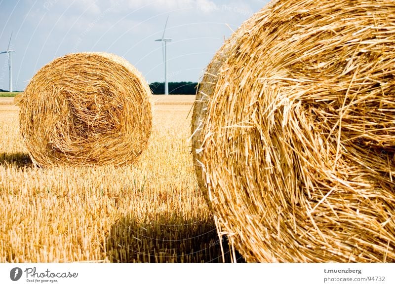 Warteschlange.... Stroh Strohballen gelb Windkraftanlage Herbst Amerika Landschaft