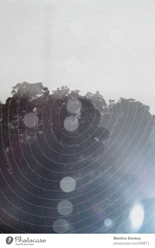 REGENTROPFEN Regen Baum Fenster Licht schlechtes Wetter trist Herbst Mai Leidenschaft Sturm schwarz dunkel Wald schätzen Momentaufnahme Langeweile Wassertropfen