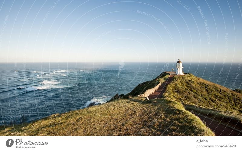 Meeting Point Umwelt Natur Landschaft Pflanze Urelemente Wolkenloser Himmel Horizont Sommer Schönes Wetter Gras Wellen Küste Meer Menschenleer Turm Leuchtturm