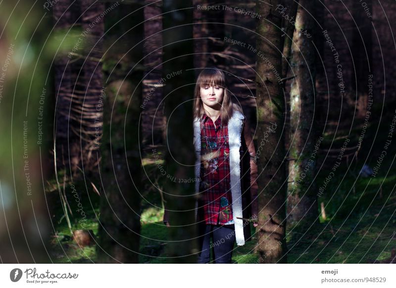 Wald. geniessen. feminin Junge Frau Jugendliche 1 Mensch 18-30 Jahre Erwachsene Umwelt Natur Landschaft Herbst dunkel Farbfoto Außenaufnahme Tag Licht Schatten