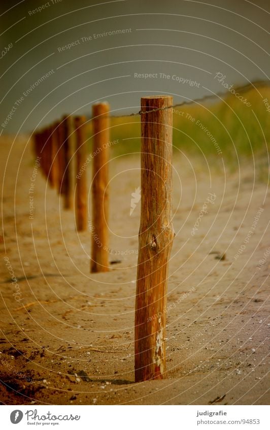 Strandflucht Holz Umweltschutz Gras Draht Meer Küste Farbe Sand Pfosten Grenze Schutz Stranddüne betreten verboten Himmel Linie Flucht Ostsee