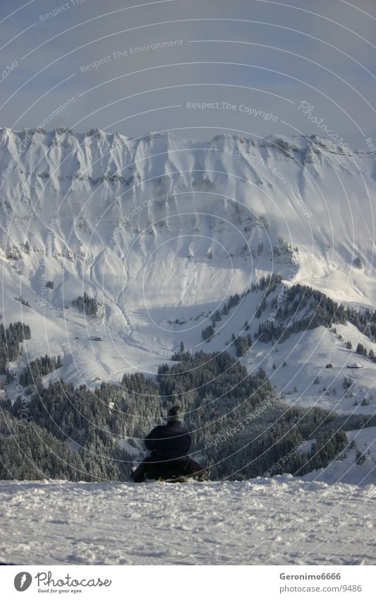 Schlittenfahrt Winter Schweiz Mann Schnee Freude Berge u. Gebirge