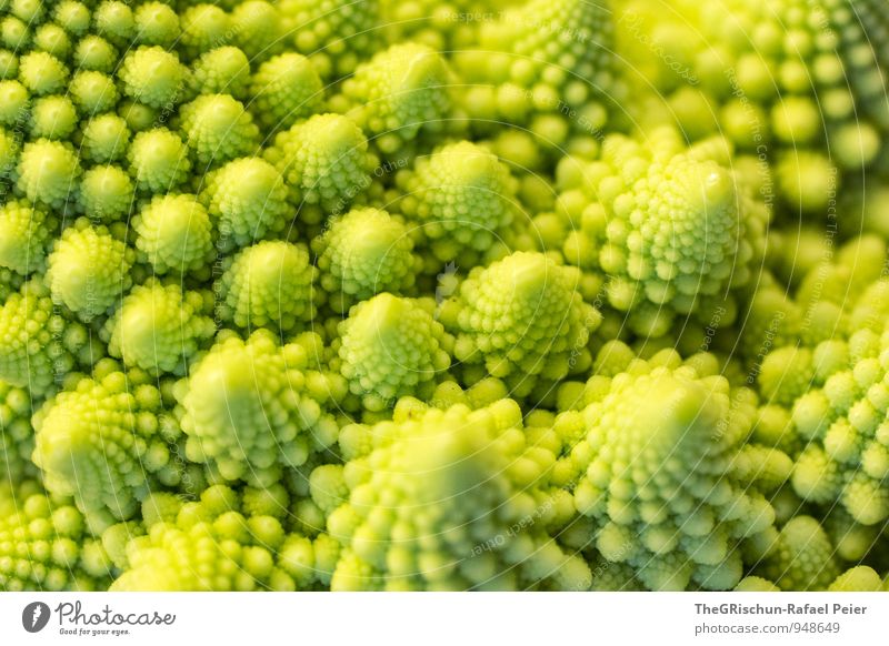 Gemüselandschaft II Lebensmittel gelb grün Romanesco Traumland Märchenlandschaft Berge u. Gebirge edel Ernährung Spitze Muster Farbfoto Innenaufnahme Hügel