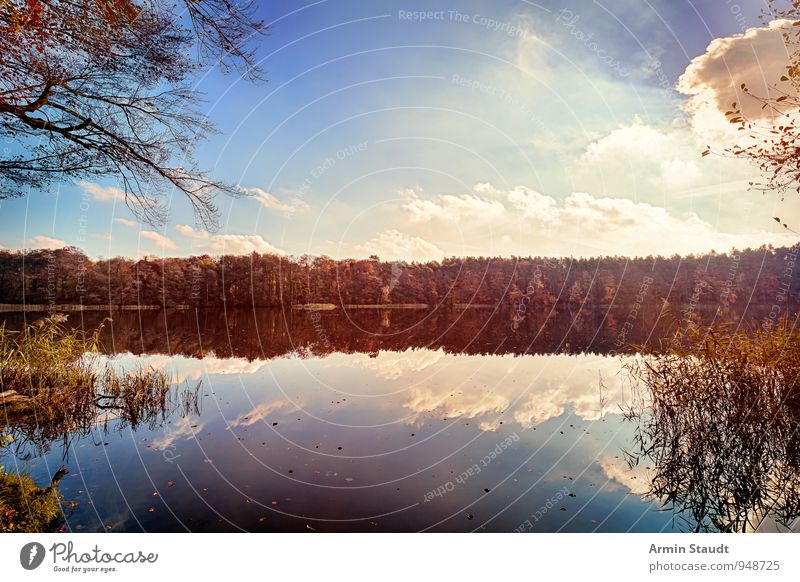 Herbstwald am See Erholung ruhig Ferien & Urlaub & Reisen Natur Landschaft Wasser Himmel Wolken Sonne Sonnenlicht Schönes Wetter Wald Seeufer ästhetisch Ferne