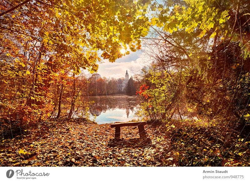 Märchenhaft Zufriedenheit Erholung Ferien & Urlaub & Reisen Freiheit Natur Landschaft Himmel Wolken Sonne Sonnenlicht Herbst Schönes Wetter Wald Seeufer