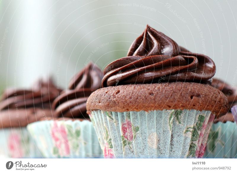 köstliche Cupcakes Lebensmittel Teigwaren Backwaren Kuchen Dessert Süßwaren Schokolade Ernährung Kaffeetrinken Festessen Fingerfood wählen Duft Essen genießen