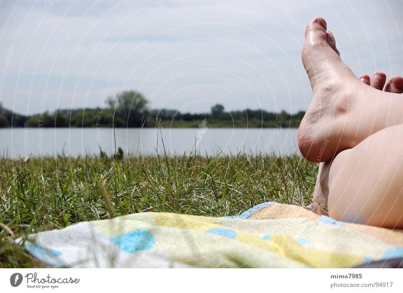 blau machen See faulenzen Gras nass genießen Sonnenbad gemütlich grün Handtuch Zehen Freude Fuß Wasser Erholung Landschaft Himmel Natur Wadeln Außenaufnahme