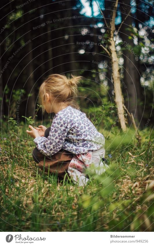 . Mensch feminin Kind Mädchen Familie & Verwandtschaft Kindheit 1 3-8 Jahre Natur Schönes Wetter Baum Gras Wiese Wald blond Zopf beobachten entdecken Erholung