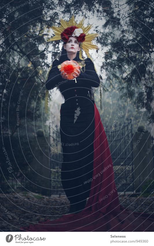 Das kalte Herz Mensch feminin Frau Erwachsene 1 Pflanze Baum Garten Park Heiligenfigur heilig herzförmig gefroren Rosenblüte Schleppe Farbfoto Außenaufnahme Tag