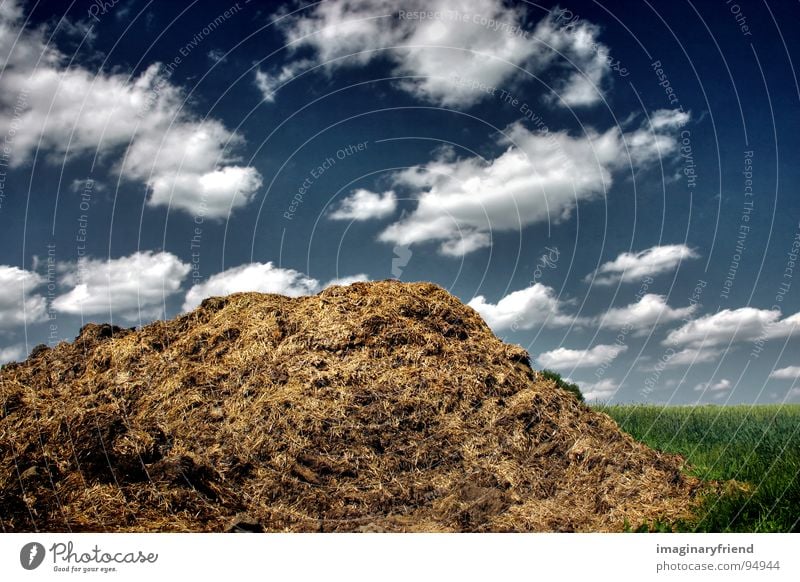 gold Länder Wolken Misthaufen Feld Wiese grün Landschaft country field clouds blau